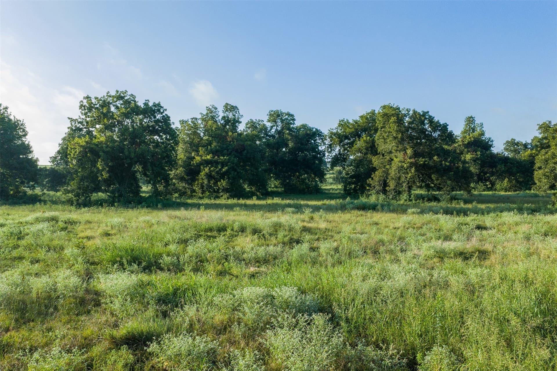 20.01 acres in Limestone County