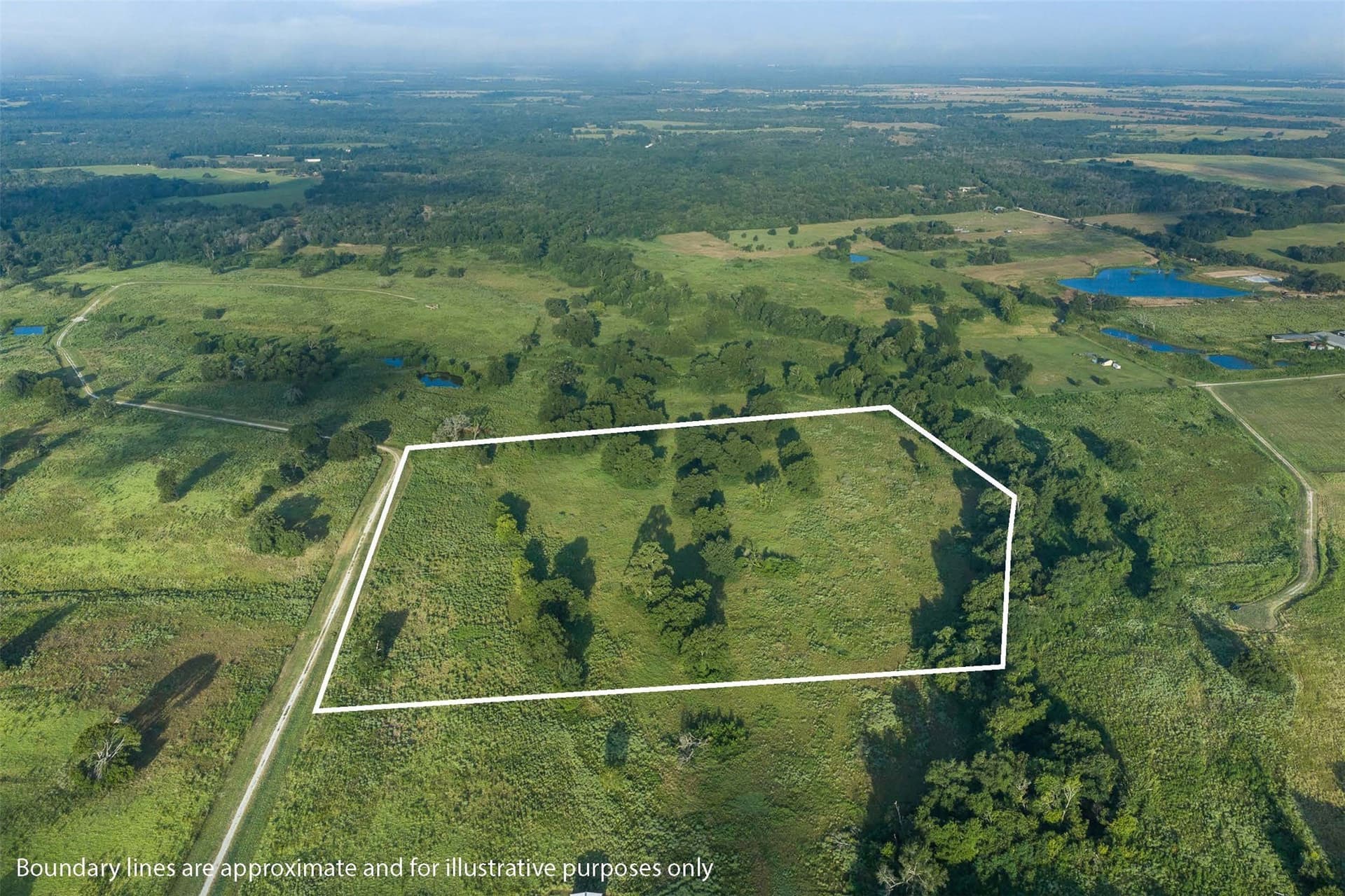 20.01 acres in Limestone County - photo 16