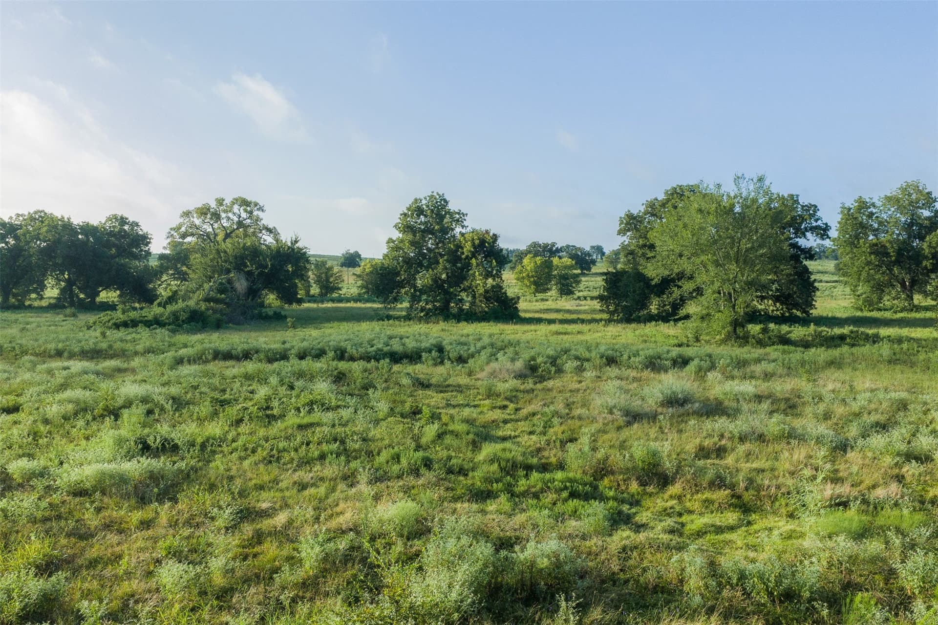 20.01 acres in Limestone County - photo 4