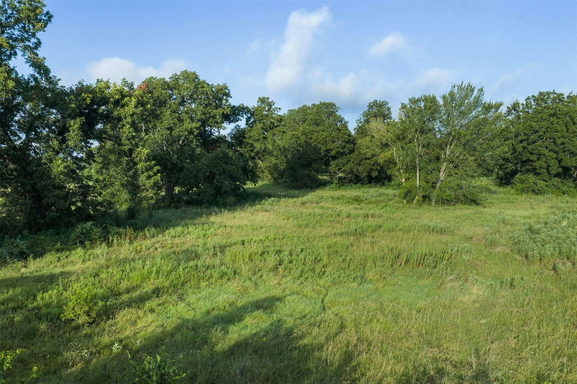 20.01 acres in Limestone County - photo 10