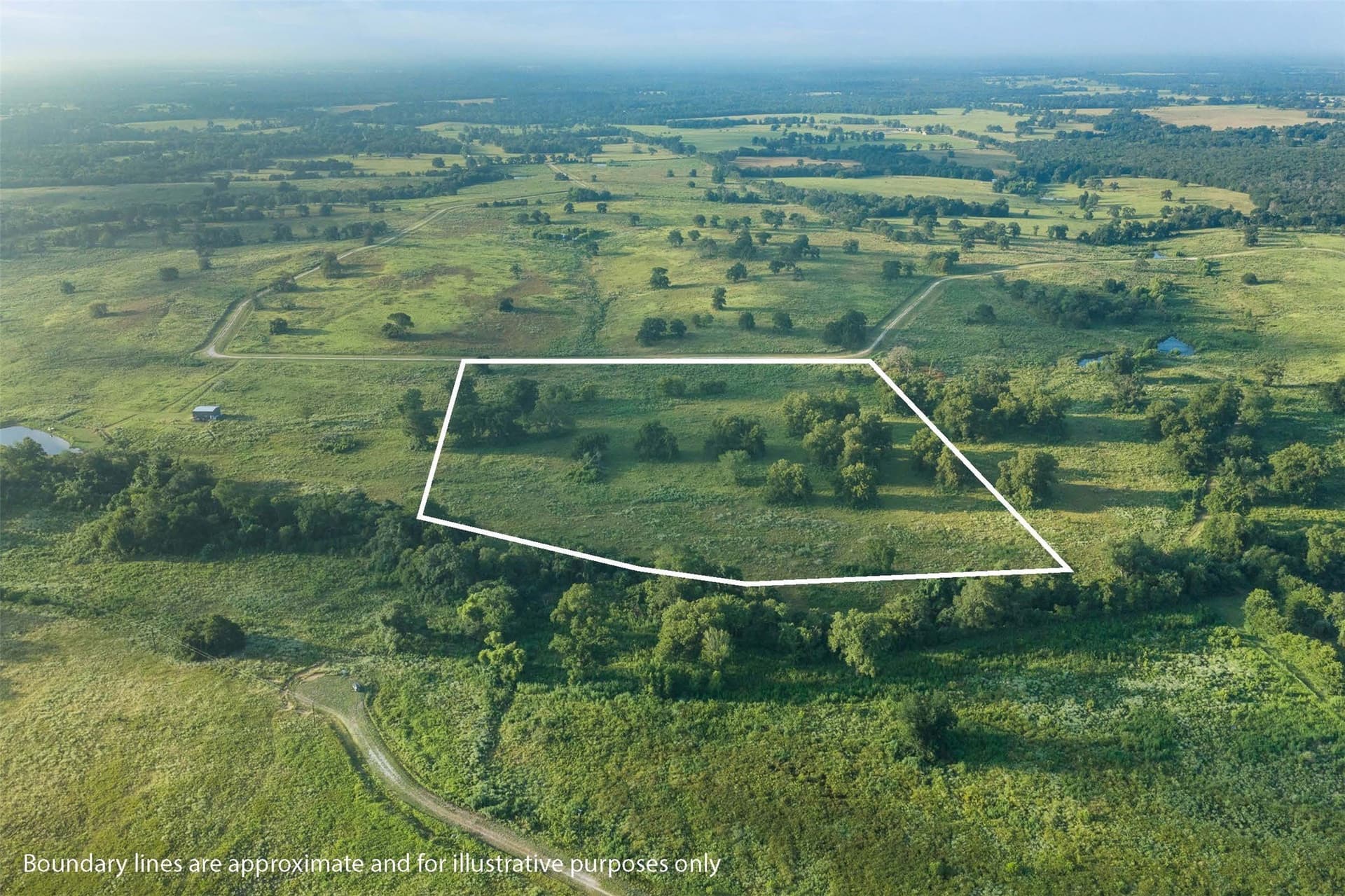 20.01 acres in Limestone County - photo 8