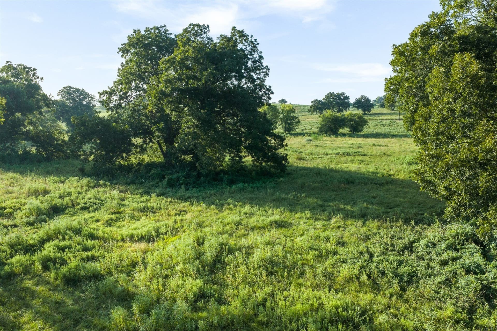 20.01 acres in Limestone County - photo 2