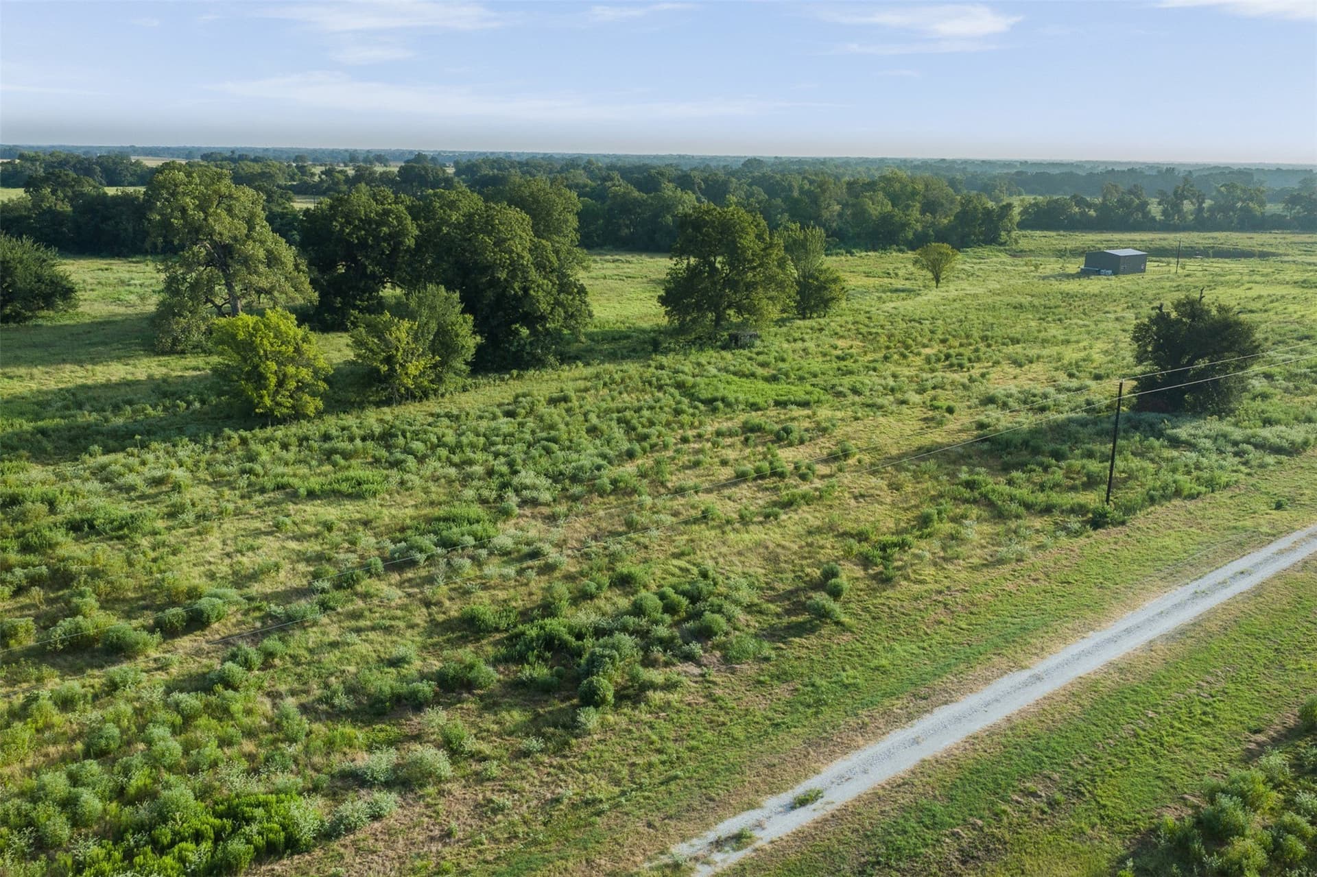 20.01 acres in Limestone County - photo 12