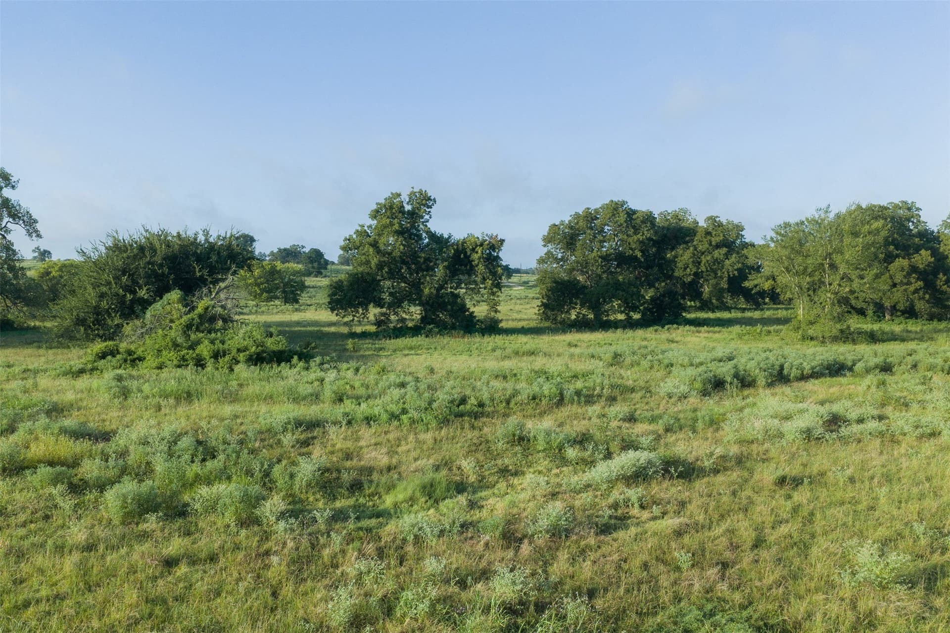 20.01 acres in Limestone County - photo 3