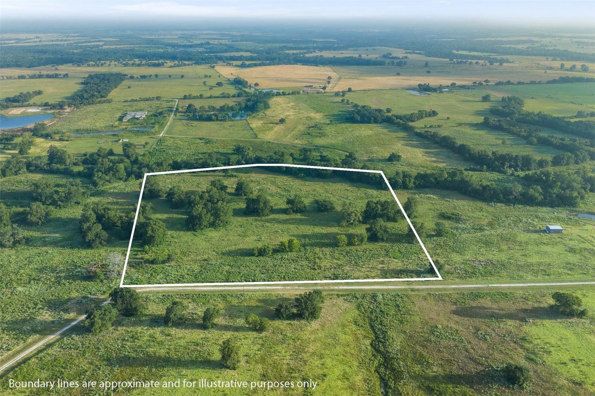20.01 acres in Limestone County - photo 7