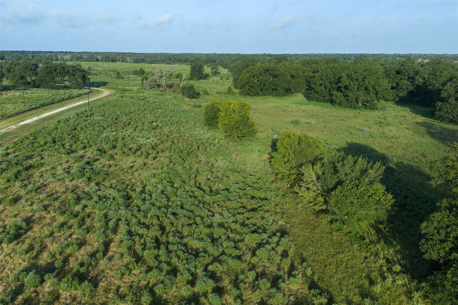 20.01 acres in Limestone County - photo 15