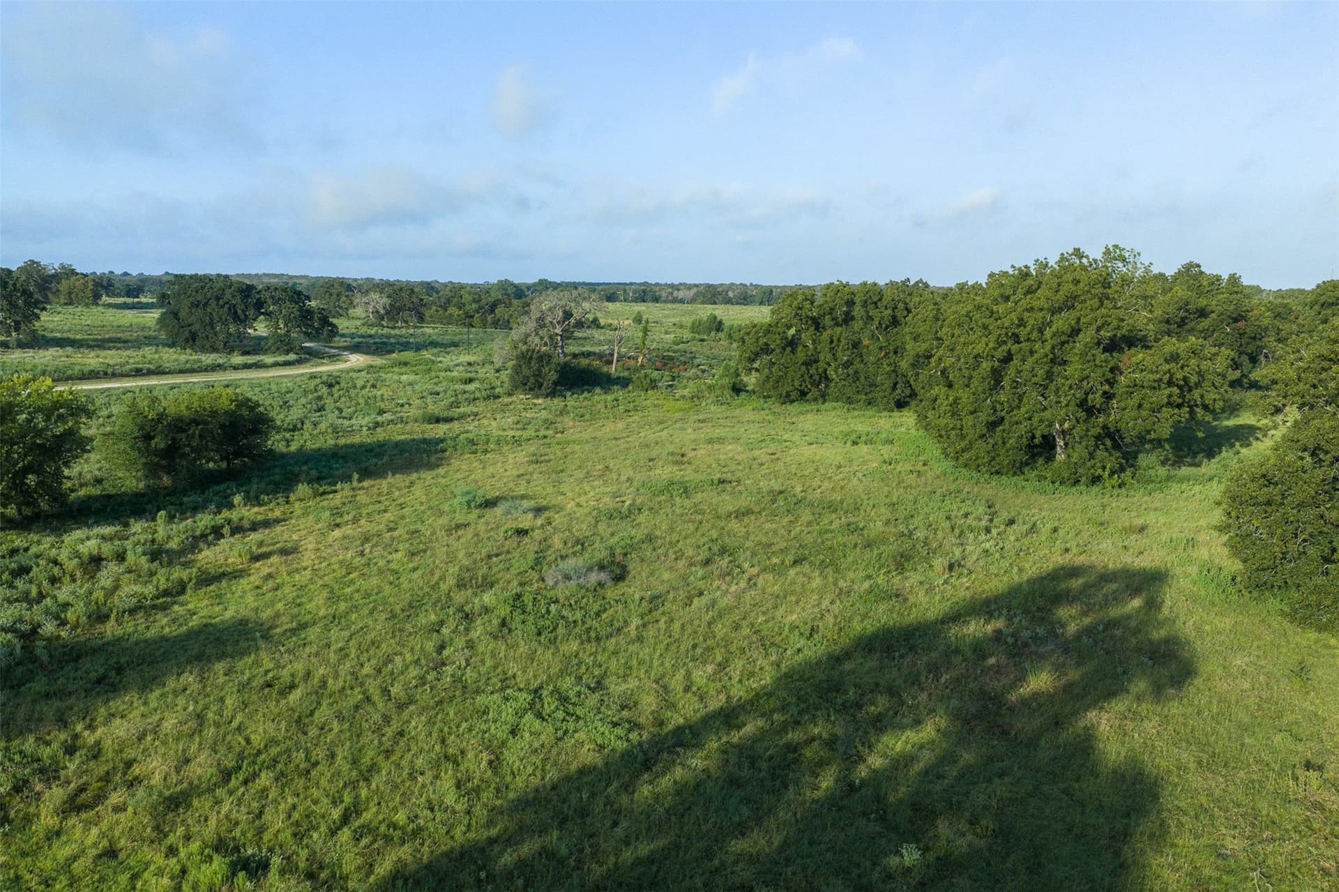 20.01 acres in Limestone County - photo 14