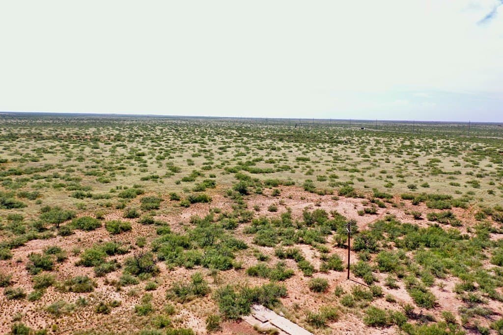 643 acres in Andrews County gallery image 4