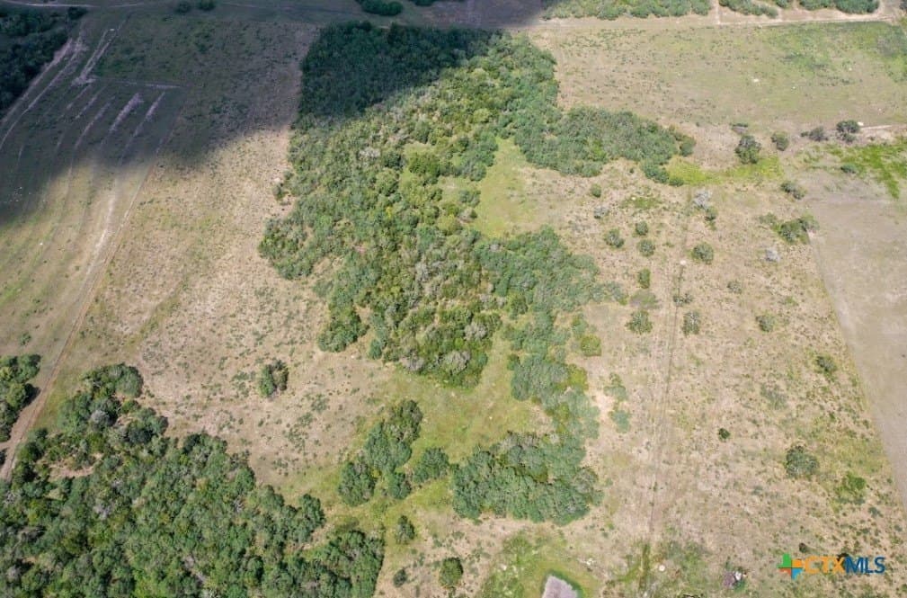 58.1 acres in DeWitt County gallery image 3