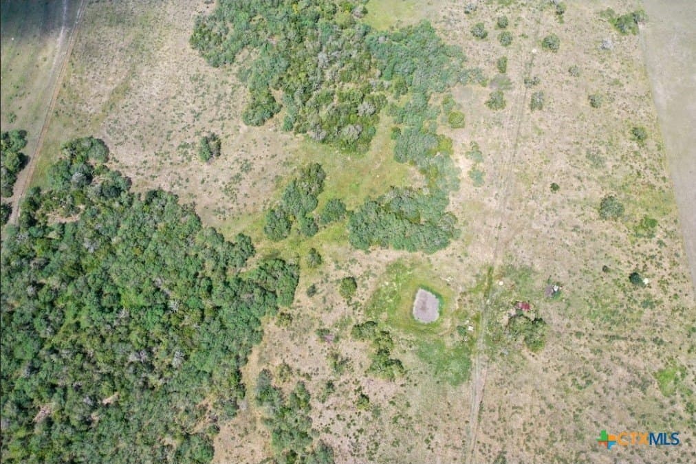 58.1 acres in DeWitt County gallery image 4