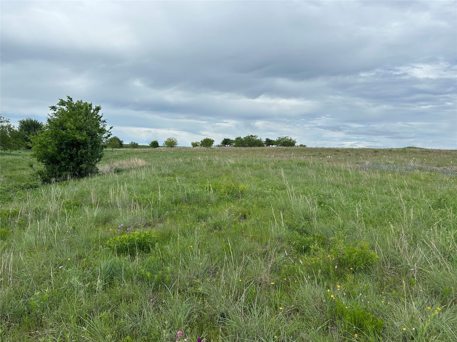 2.53 acres in Parker County - photo 16