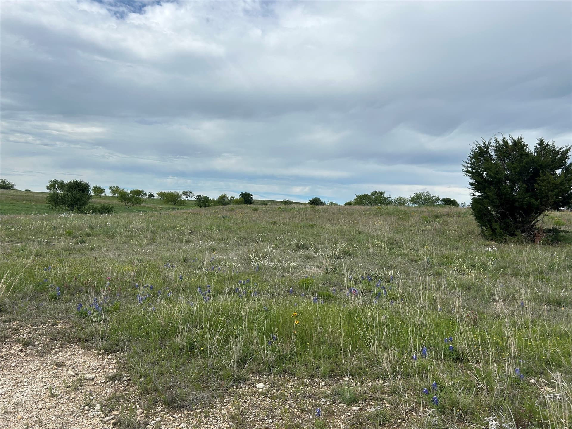 2.53 acres in Parker County - photo 10