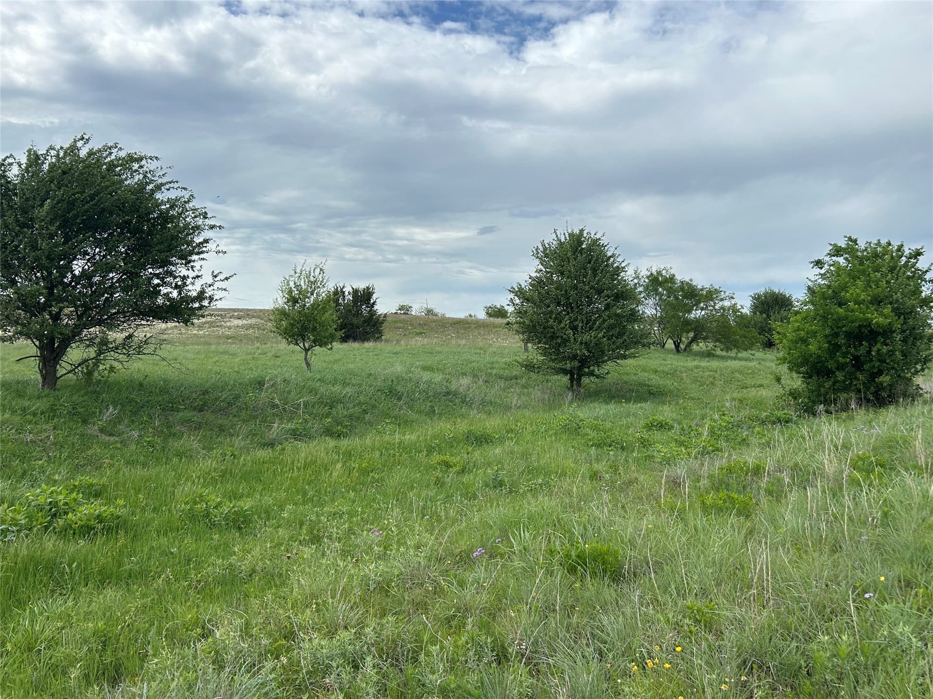 2.53 acres in Parker County - photo 18