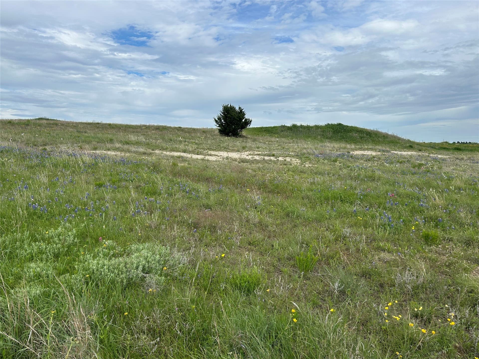 2.53 acres in Parker County - photo 19