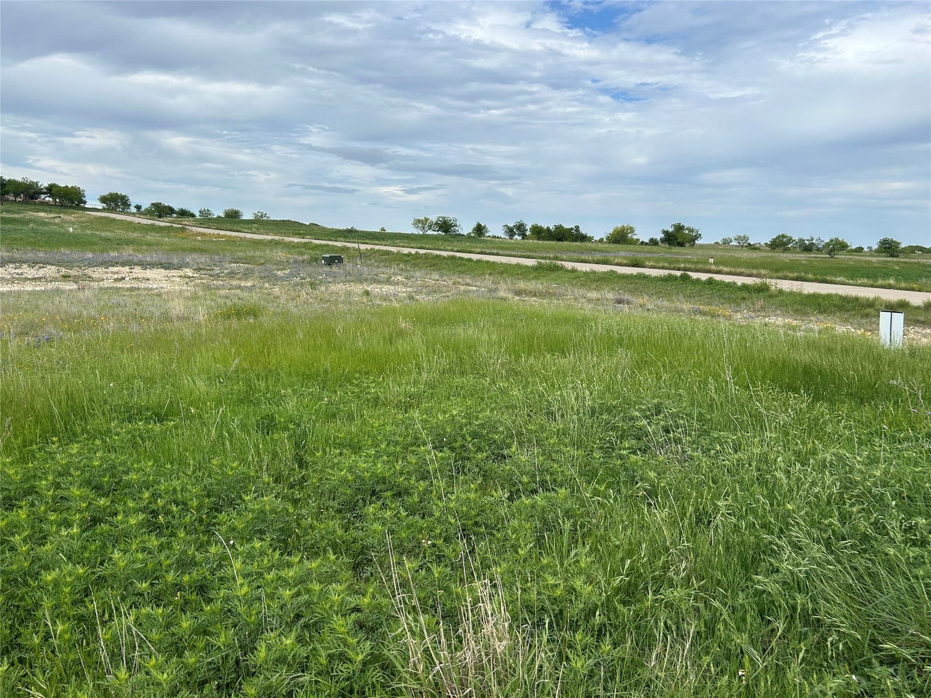 2.53 acres in Parker County - photo 5