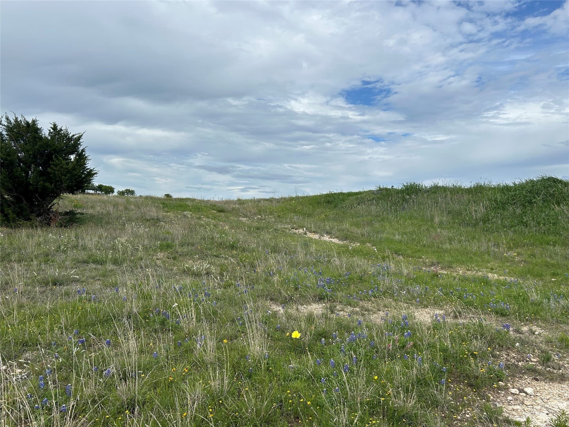 2.53 acres in Parker County - photo 11