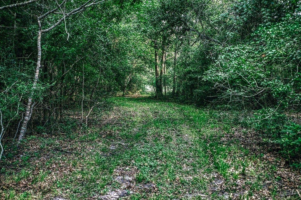 71.16 acres in Washington County - photo 12