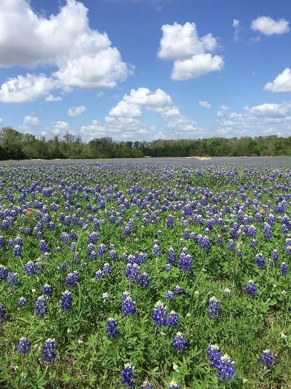 71.16 acres in Washington County - photo 18