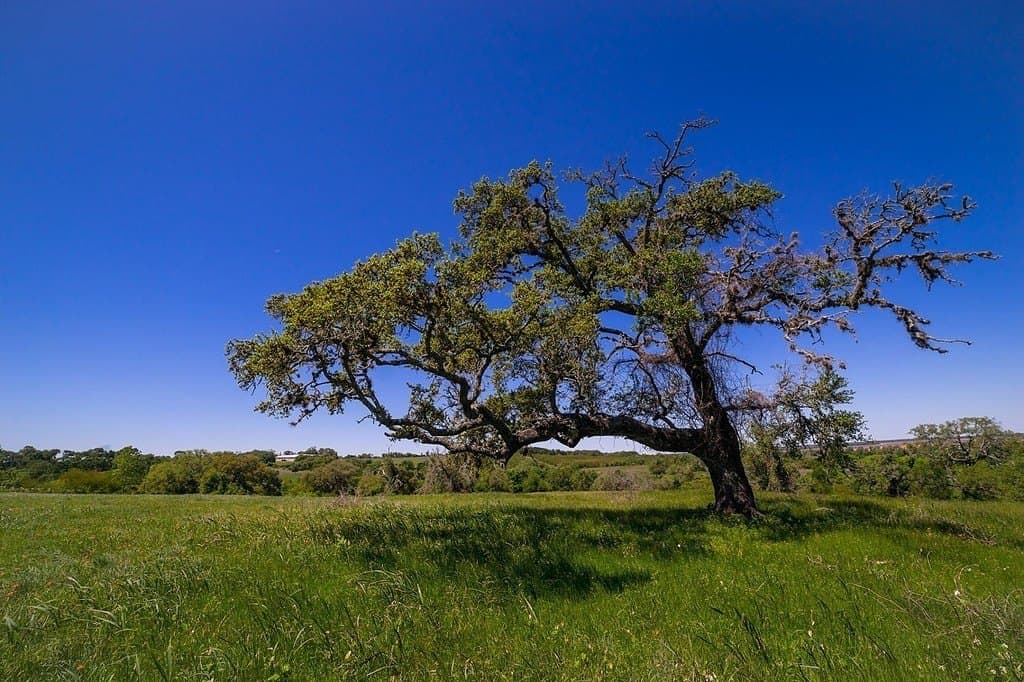 71.16 acres in Washington County - photo 21