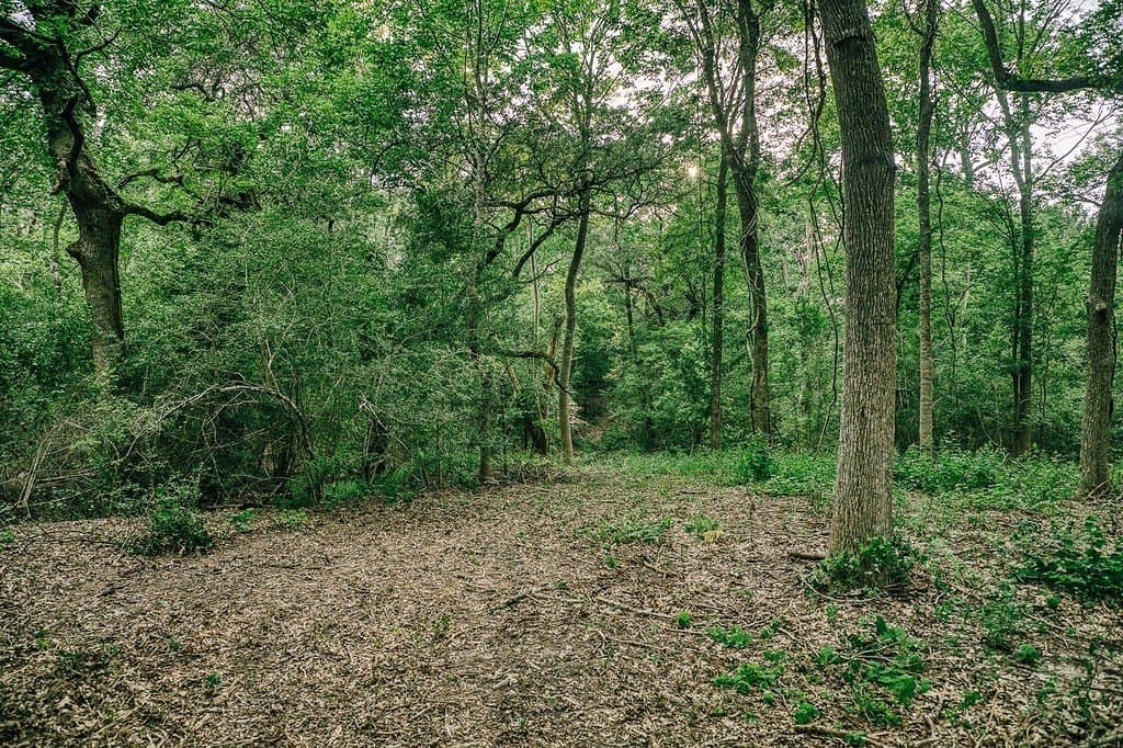 71.16 acres in Washington County - photo 10