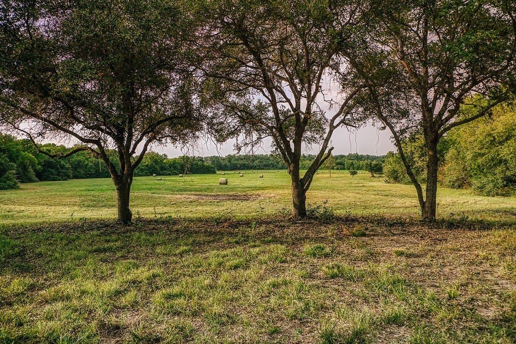 71.16 acres in Washington County - photo 9