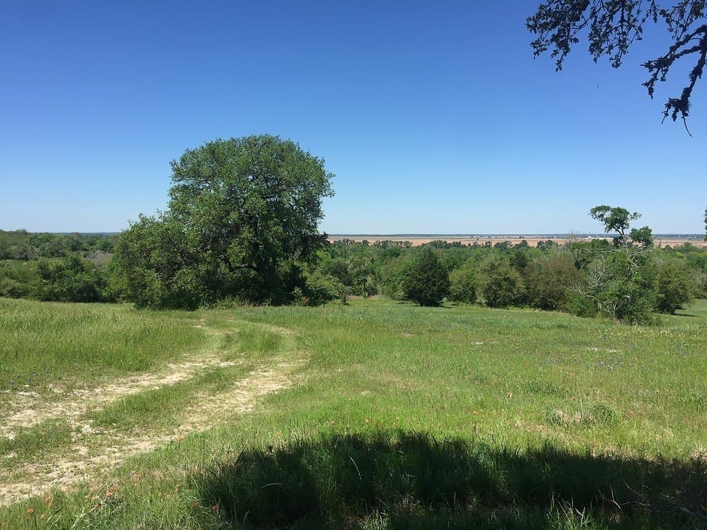 71.16 acres in Washington County - photo 20