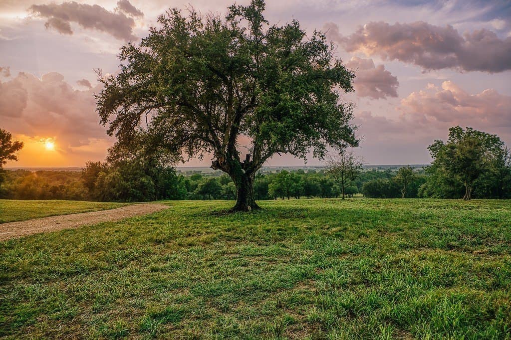 71.16 acres in Washington County - photo 4