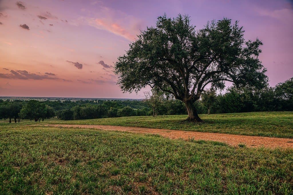 71.16 acres in Washington County - photo 5