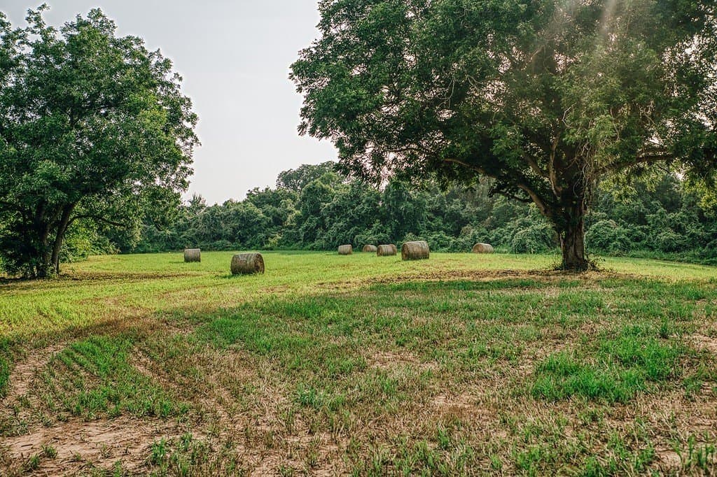 71.16 acres in Washington County - photo 15