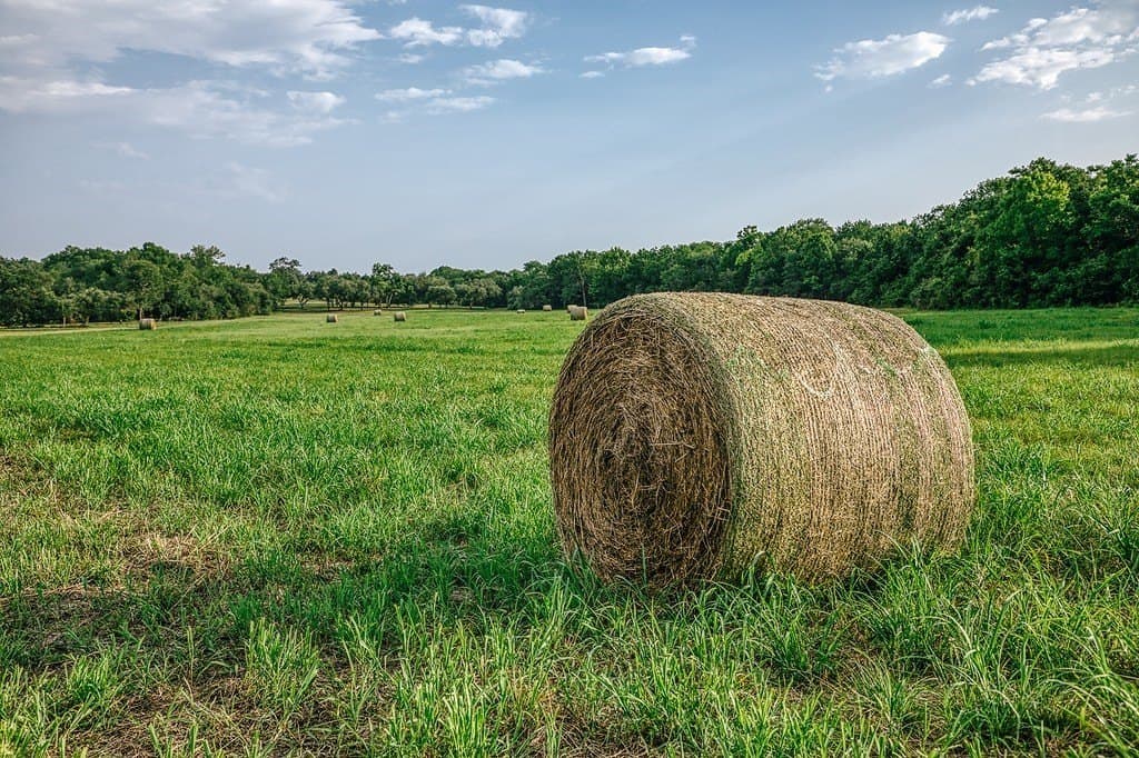 71.16 acres in Washington County - photo 13