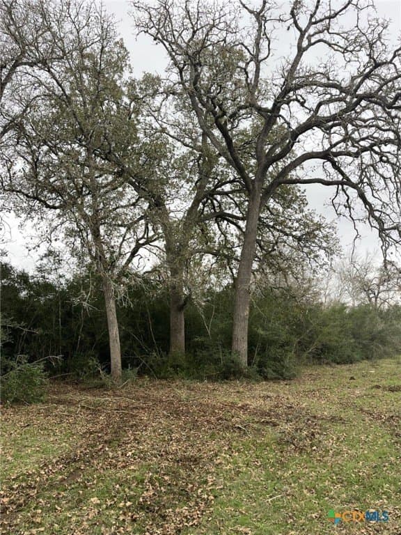 3.42 acres in Lavaca County - photo 6