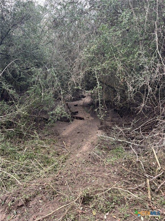 3.42 acres in Lavaca County - photo 8