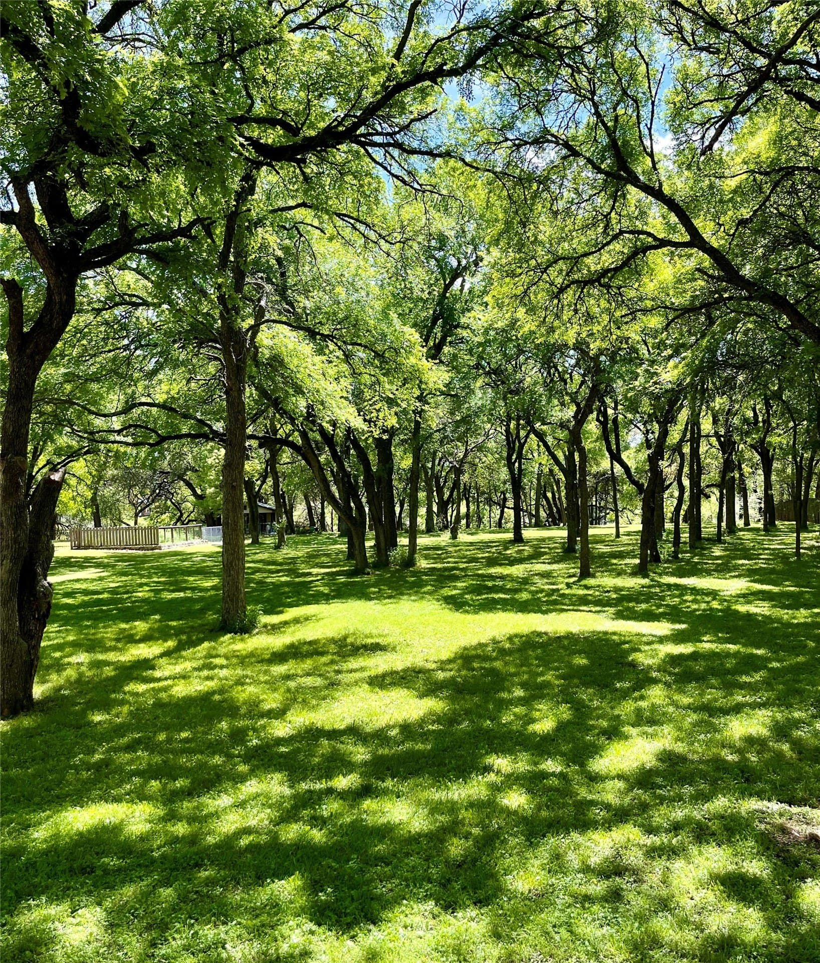 1.38 acres in McLennan County - photo 11