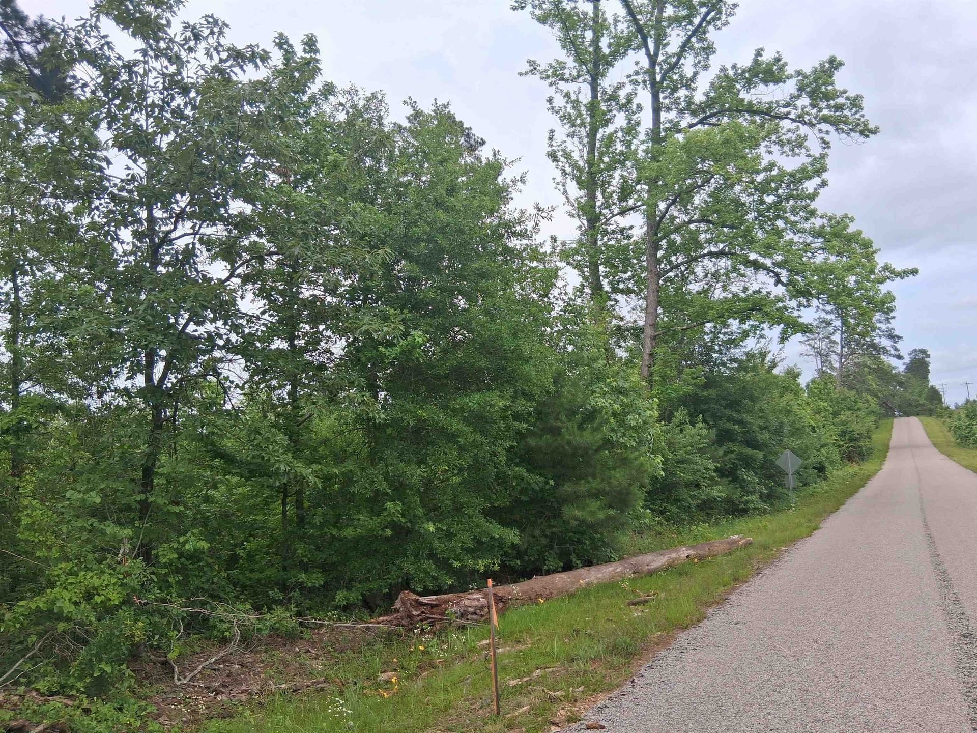 2 acres in Harrison County gallery image 2