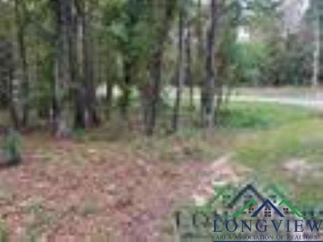 0.41 acres in Gregg County gallery image 3