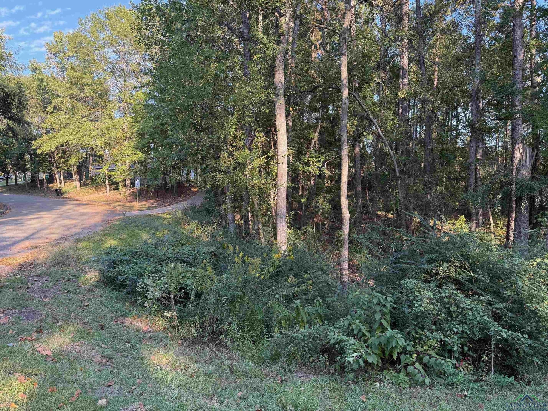 0.41 acres in Gregg County featured view