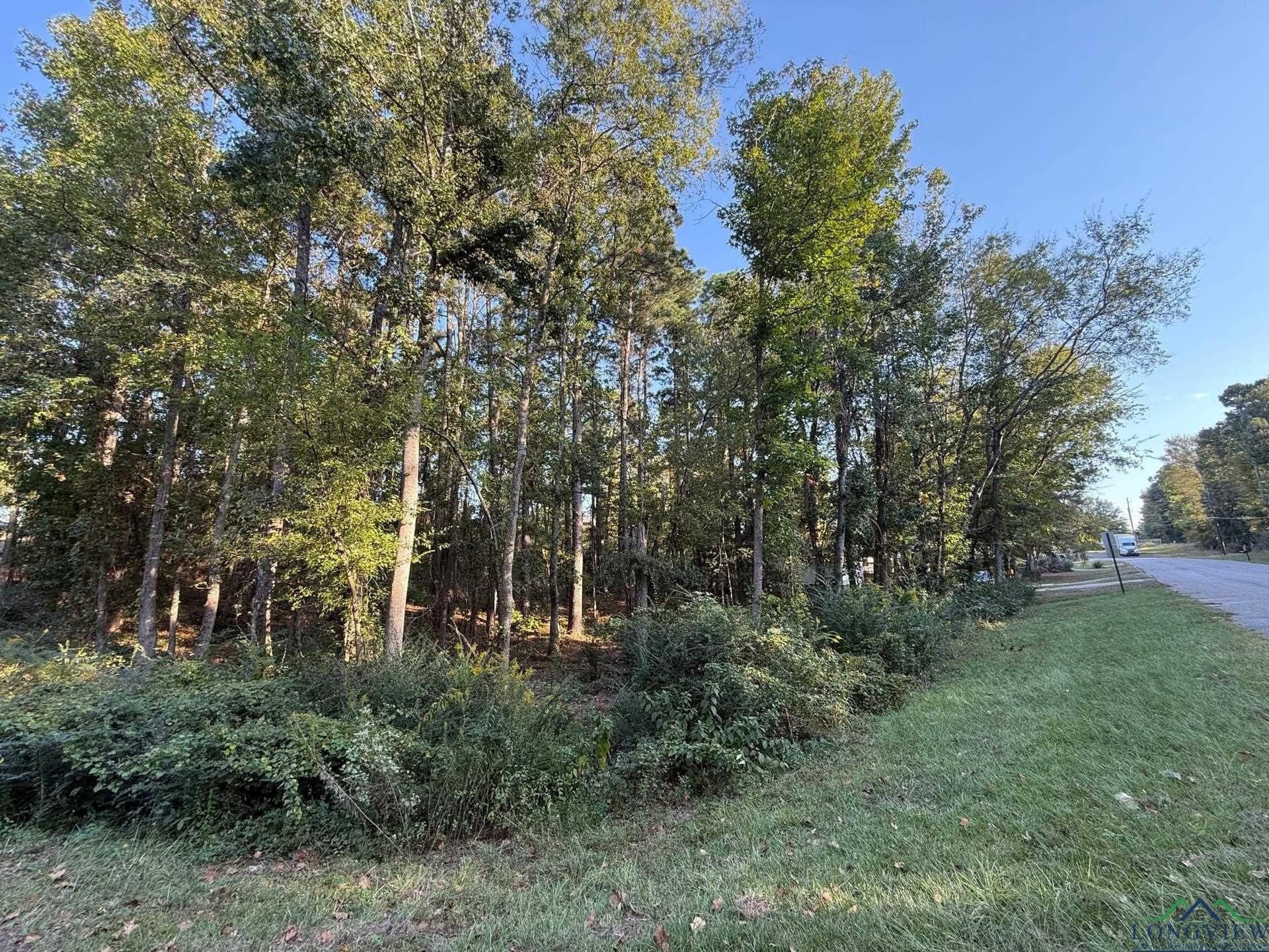 0.41 acres in Gregg County gallery image 4