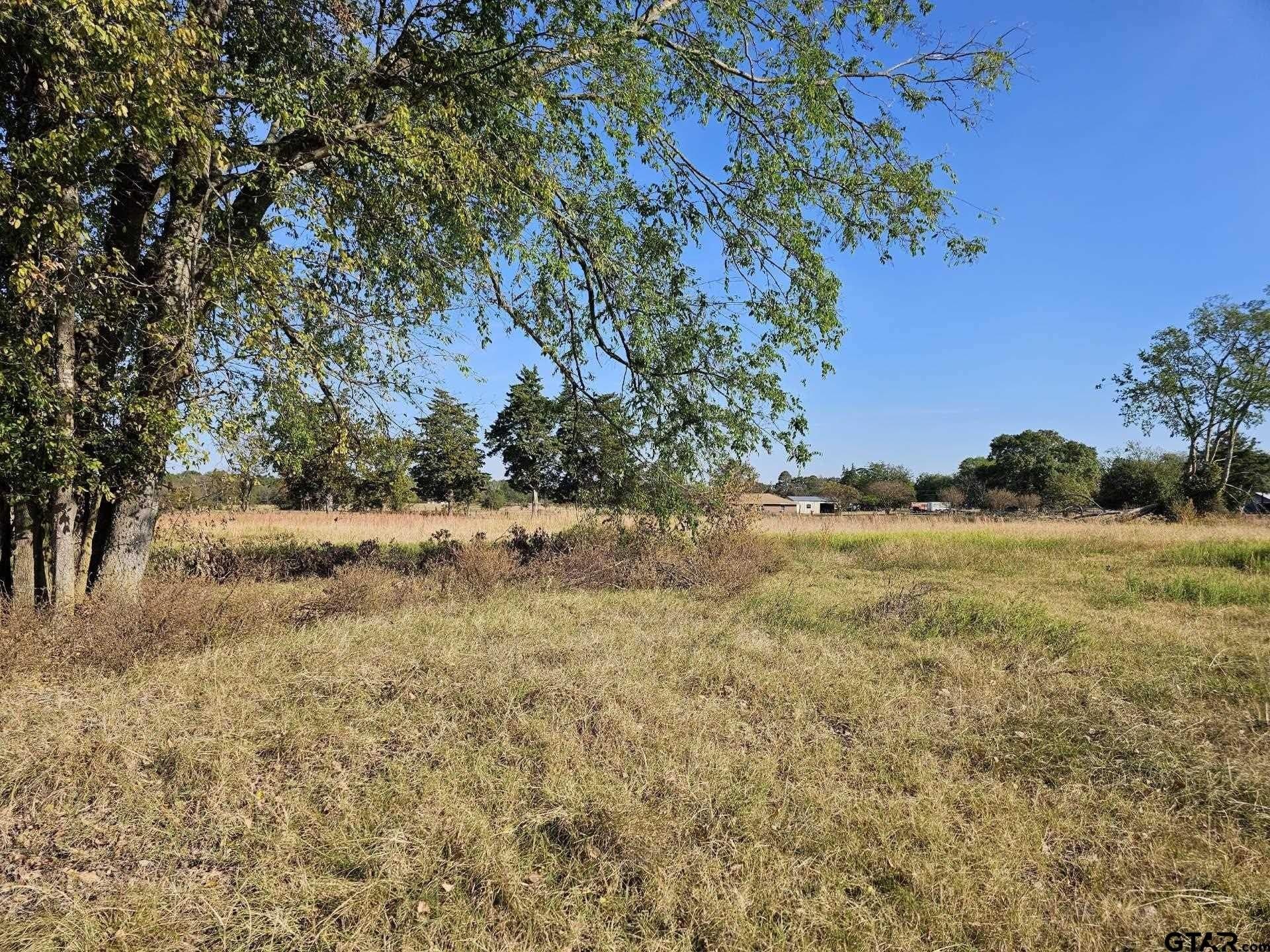 3.35 acres in Titus County gallery image 4