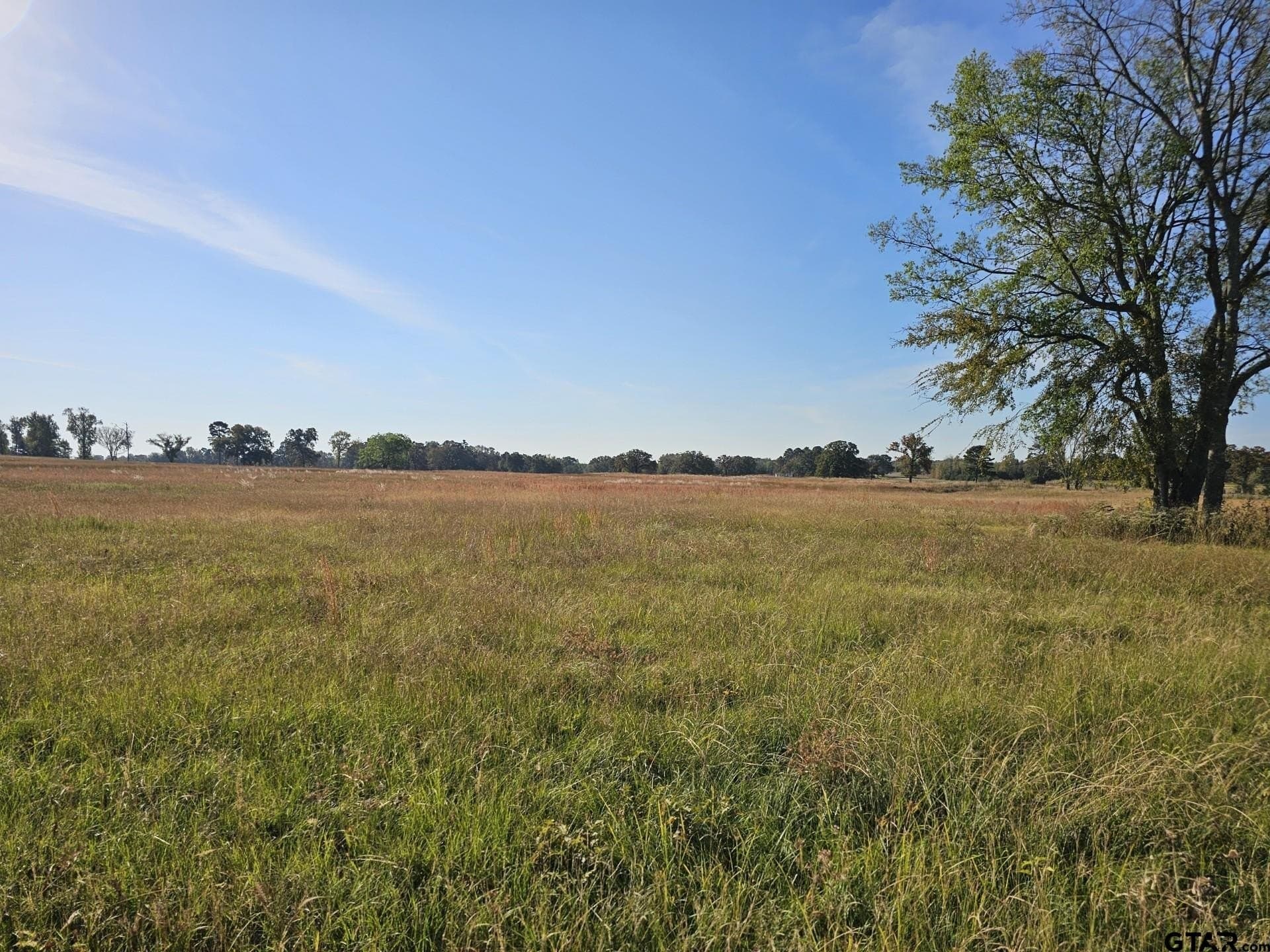 3.35 acres in Titus County