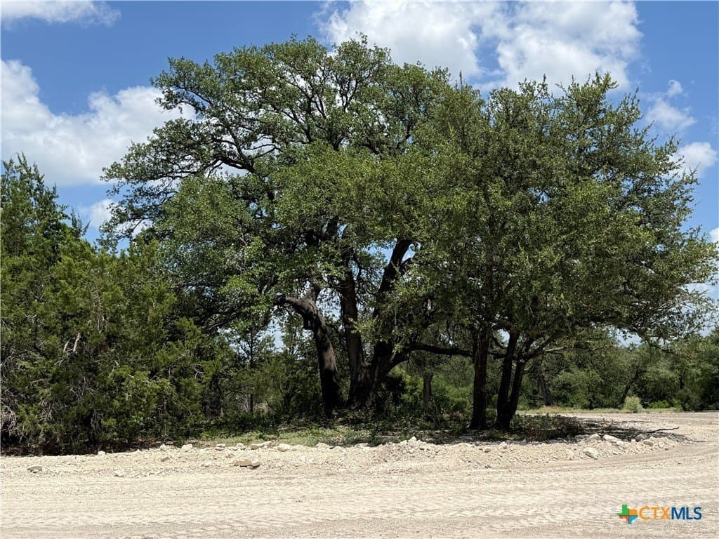 2.1 acres in Bell County gallery image 2