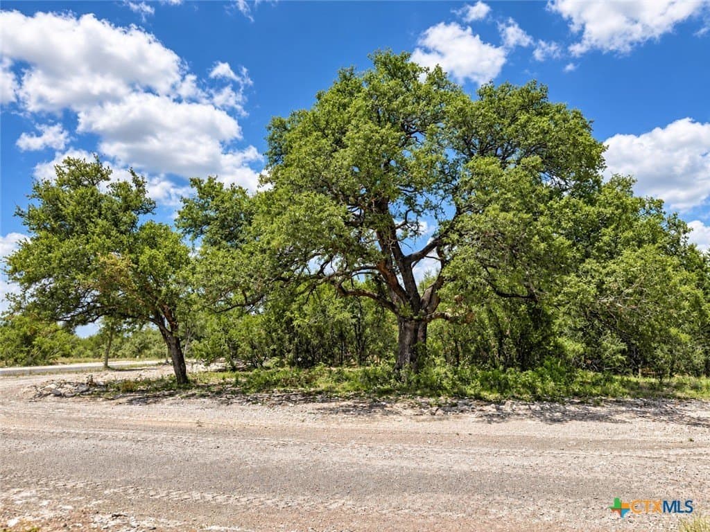 2.1 acres in Bell County - photo 2