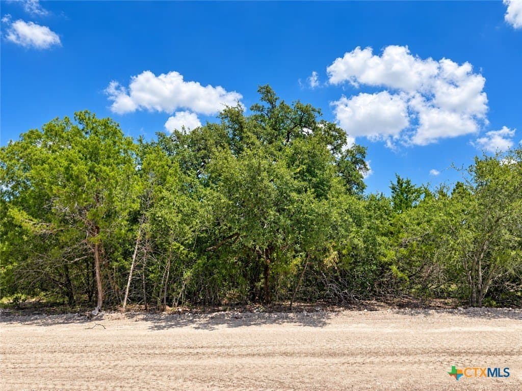 2.1 acres in Bell County - photo 6