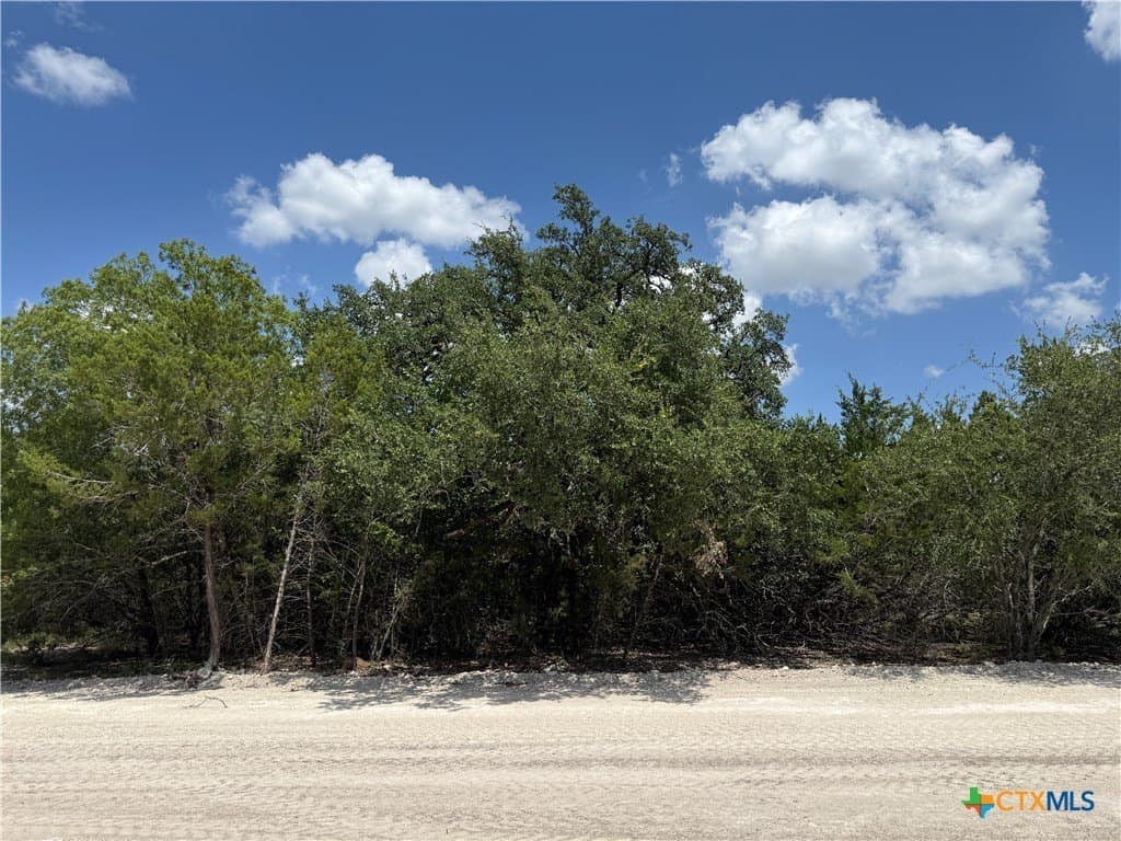 2.1 acres in Bell County - photo 6