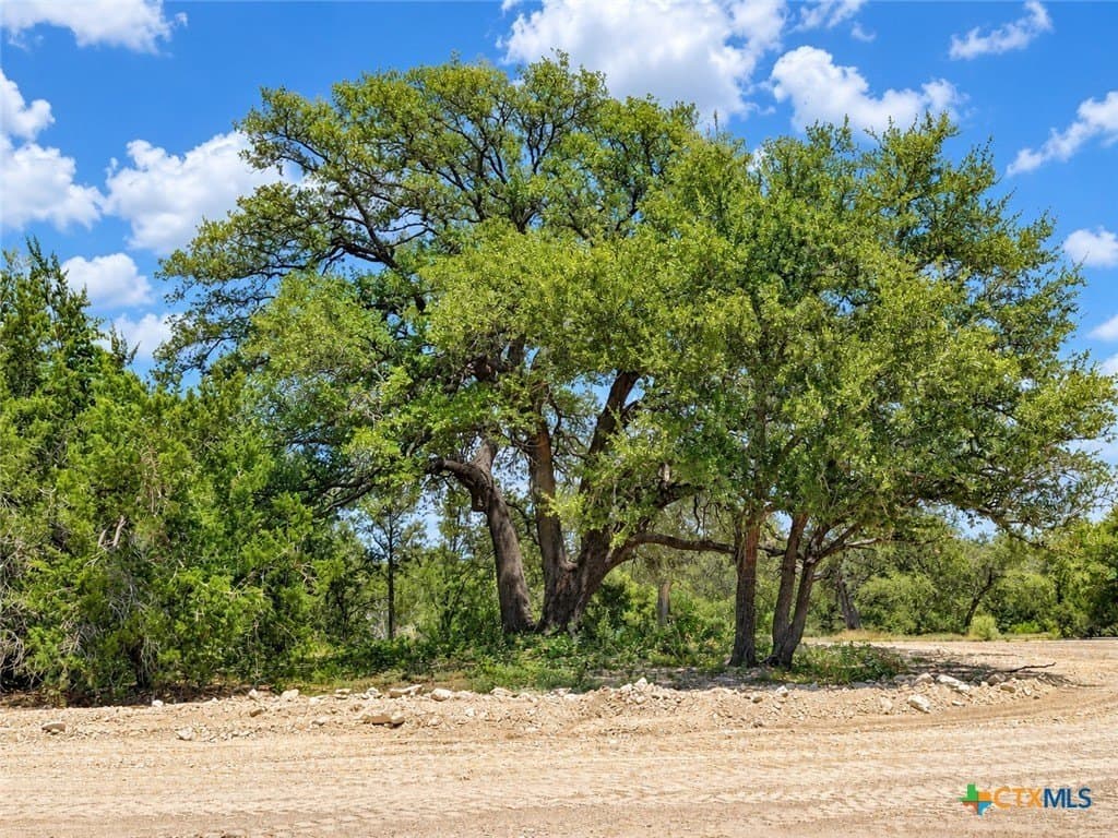 2.1 acres in Bell County - photo 3