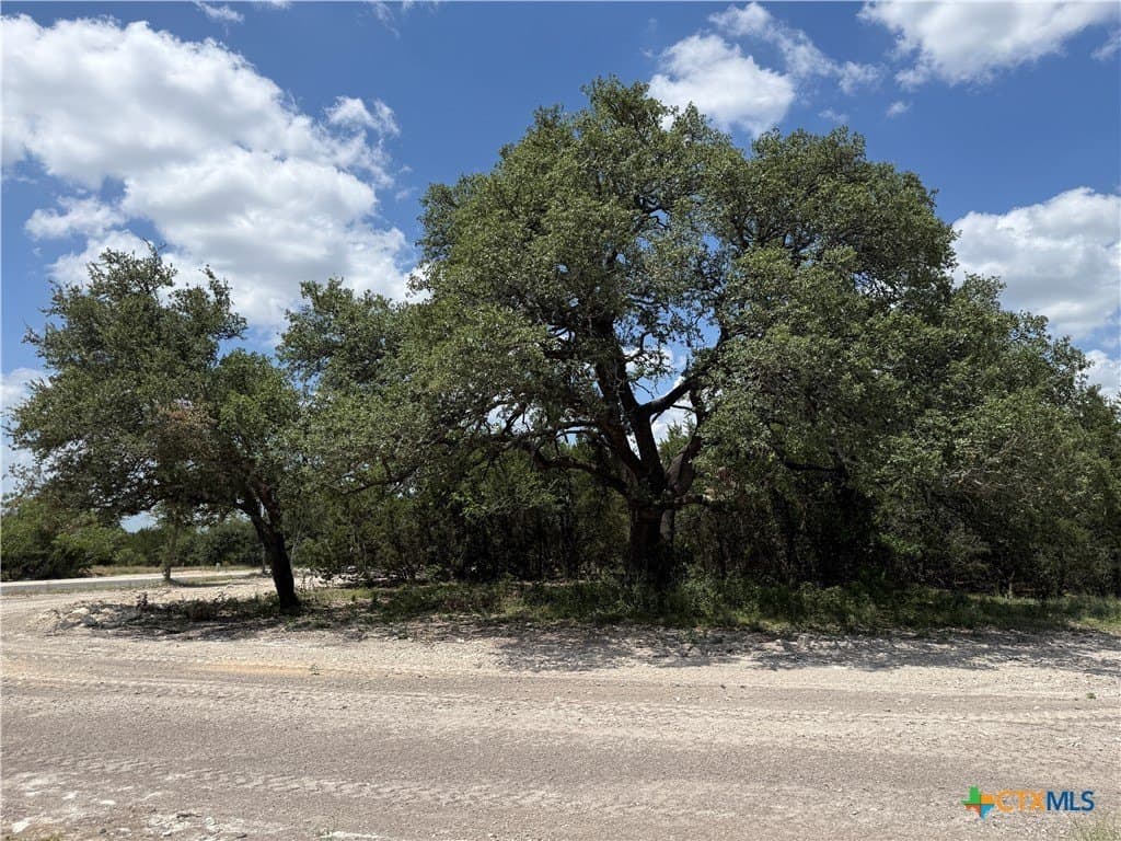2.1 acres in Bell County gallery image 3