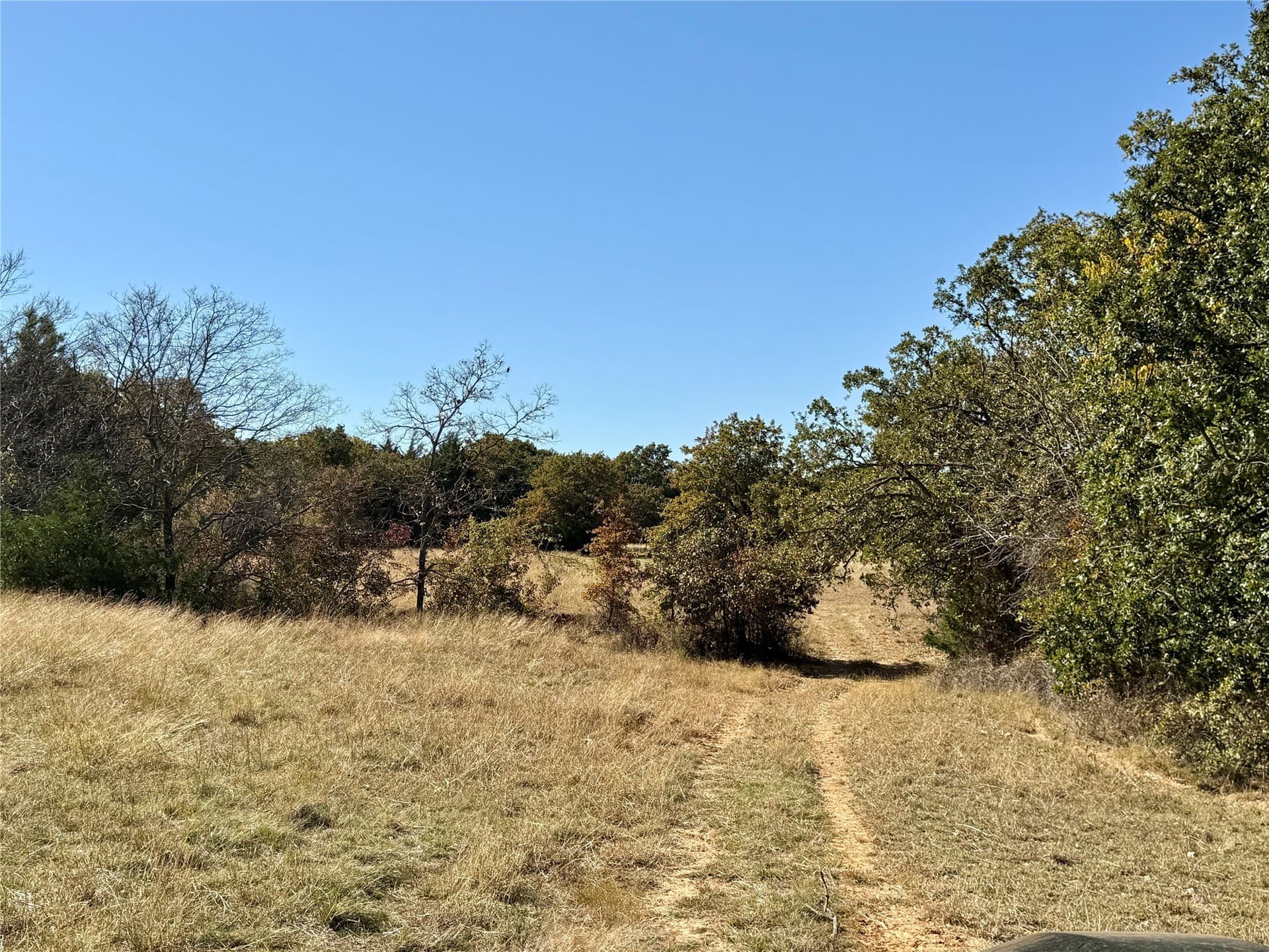 25 acres in Montague County - photo 7