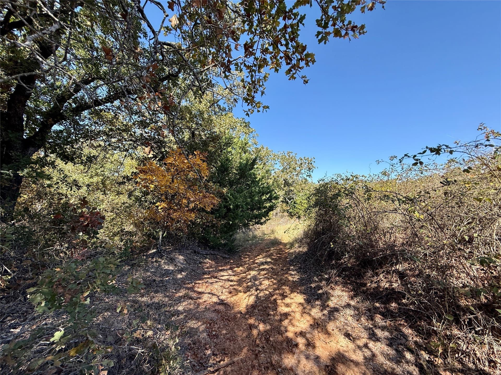 25 acres in Montague County - photo 20