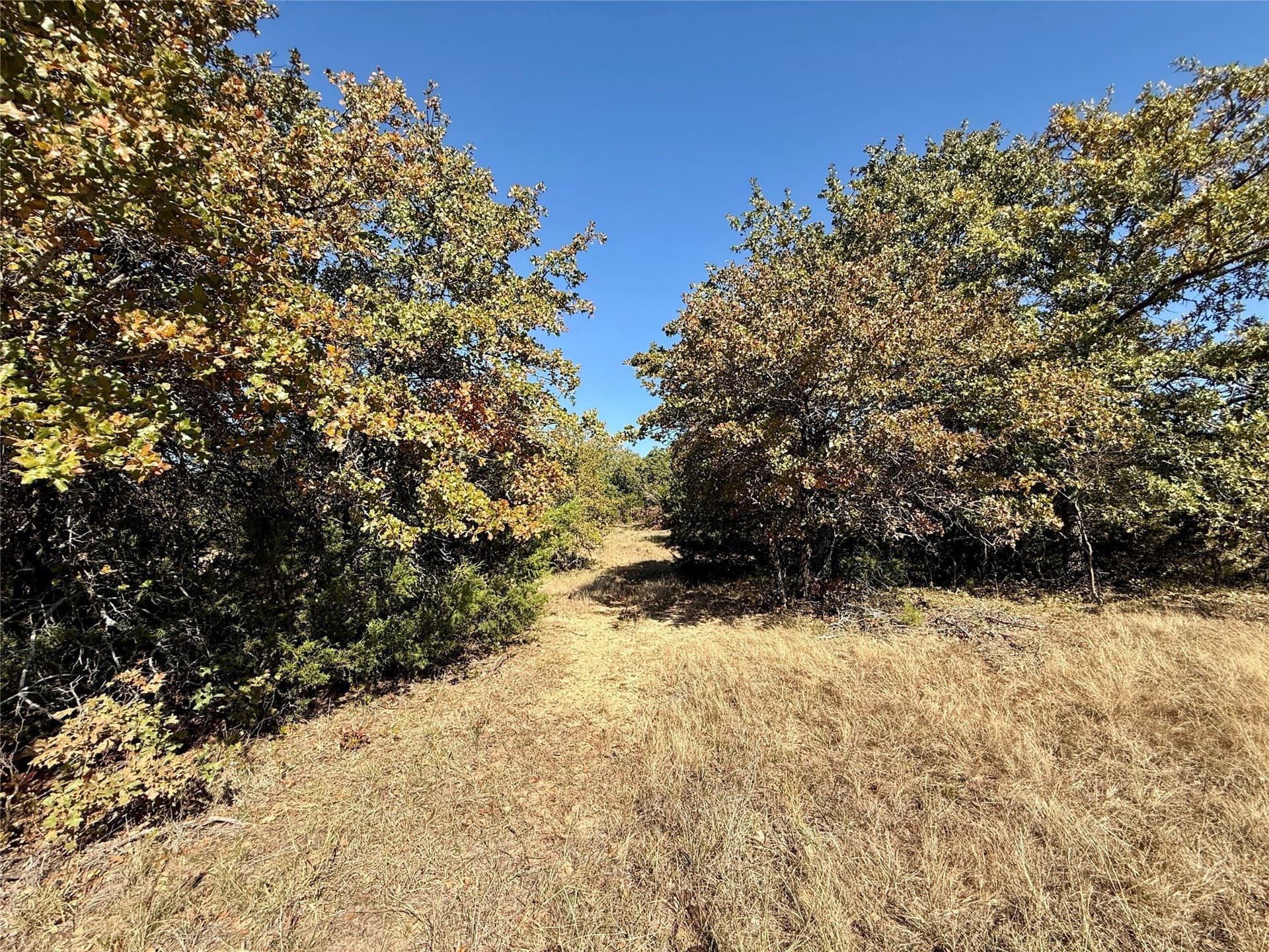 25 acres in Montague County - photo 24