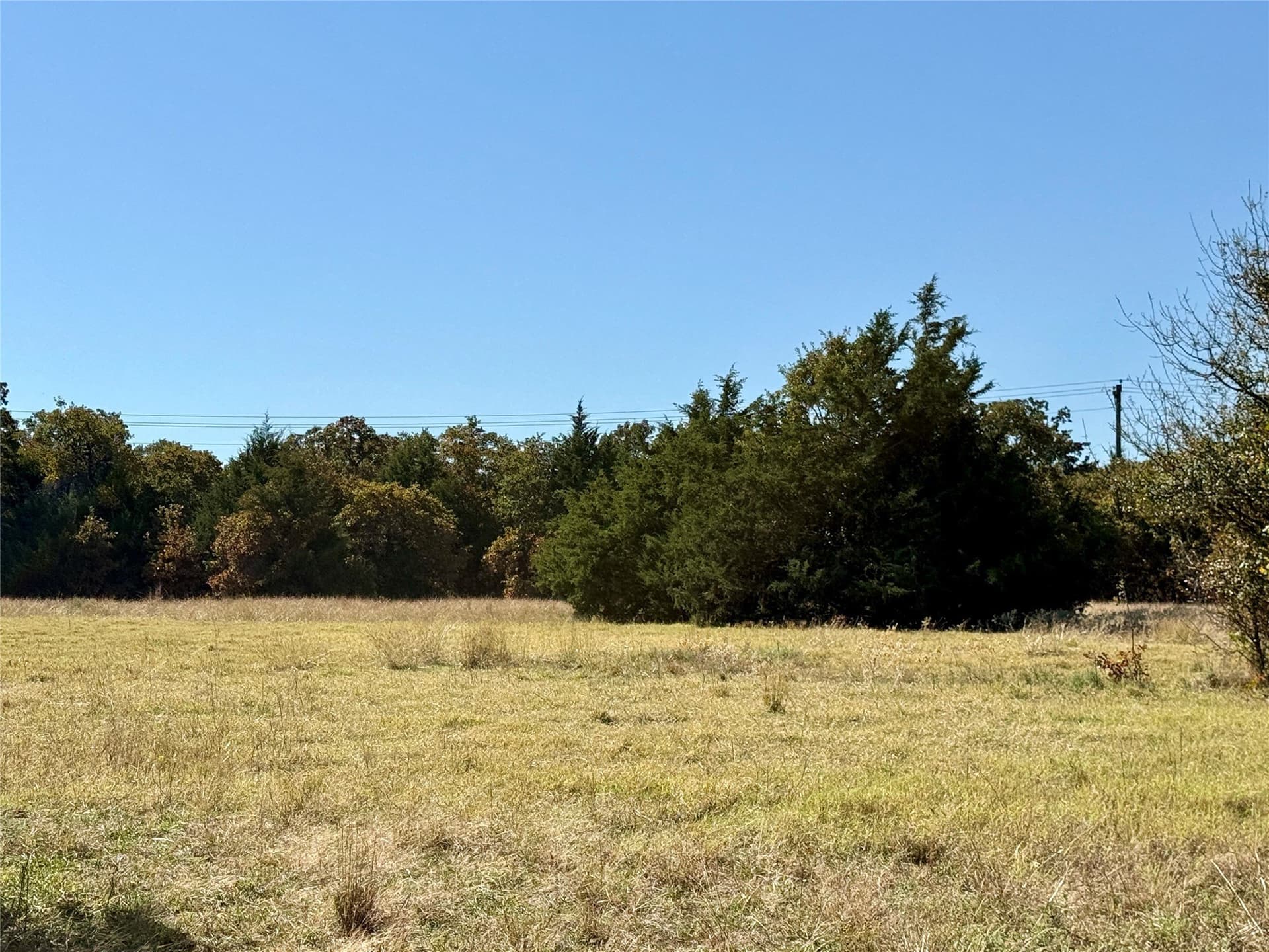 25 acres in Montague County - photo 18