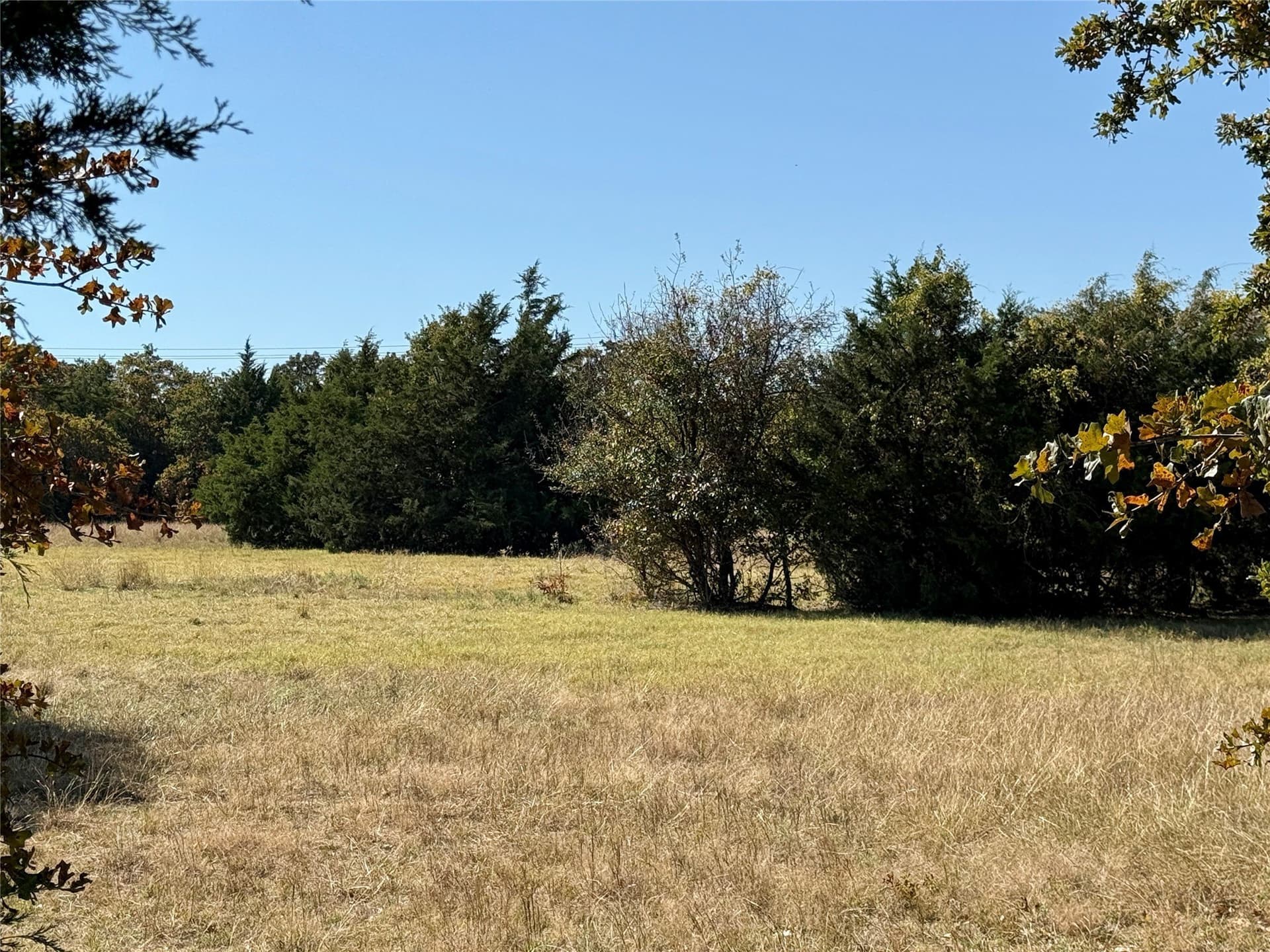 25 acres in Montague County - photo 13